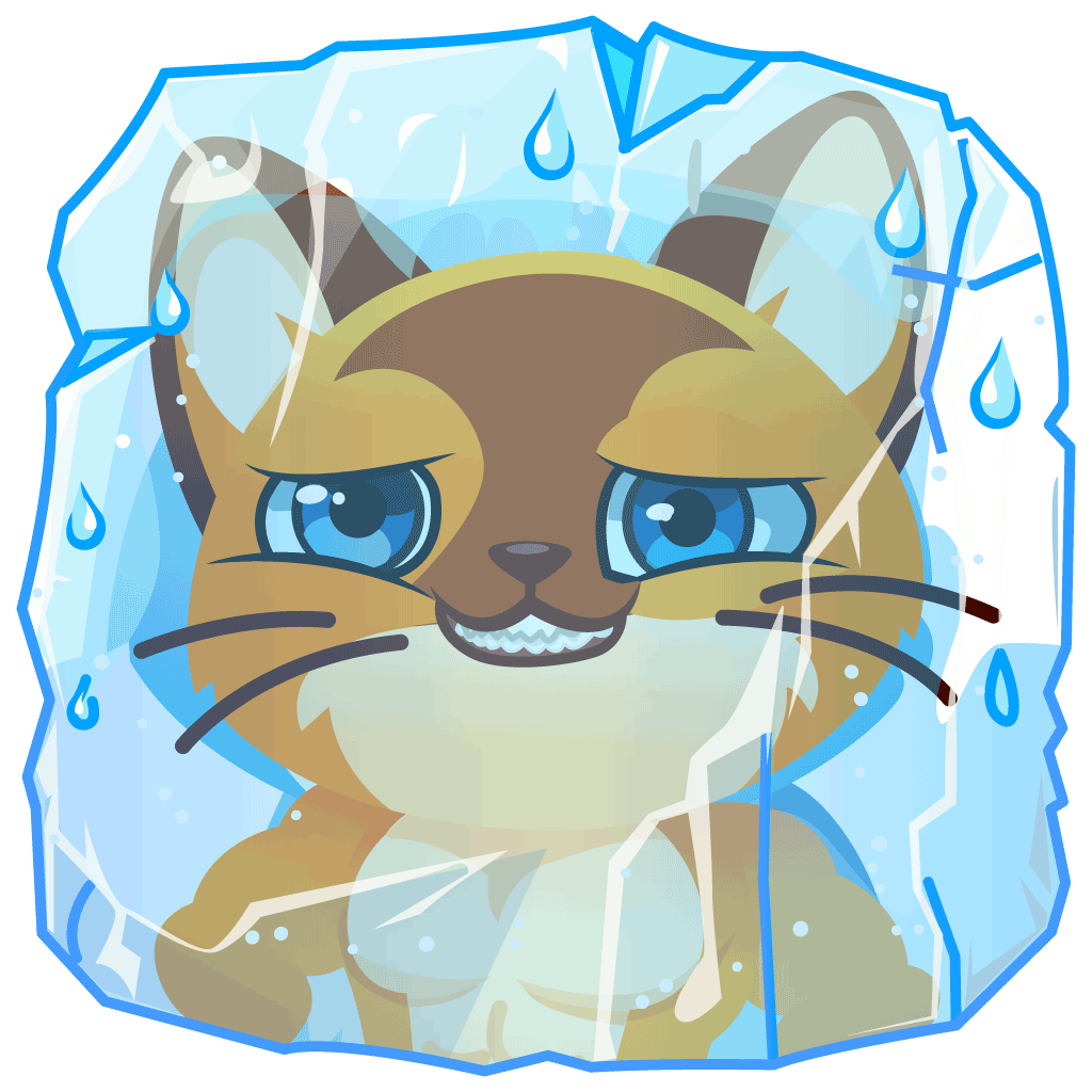 Cool mood cat